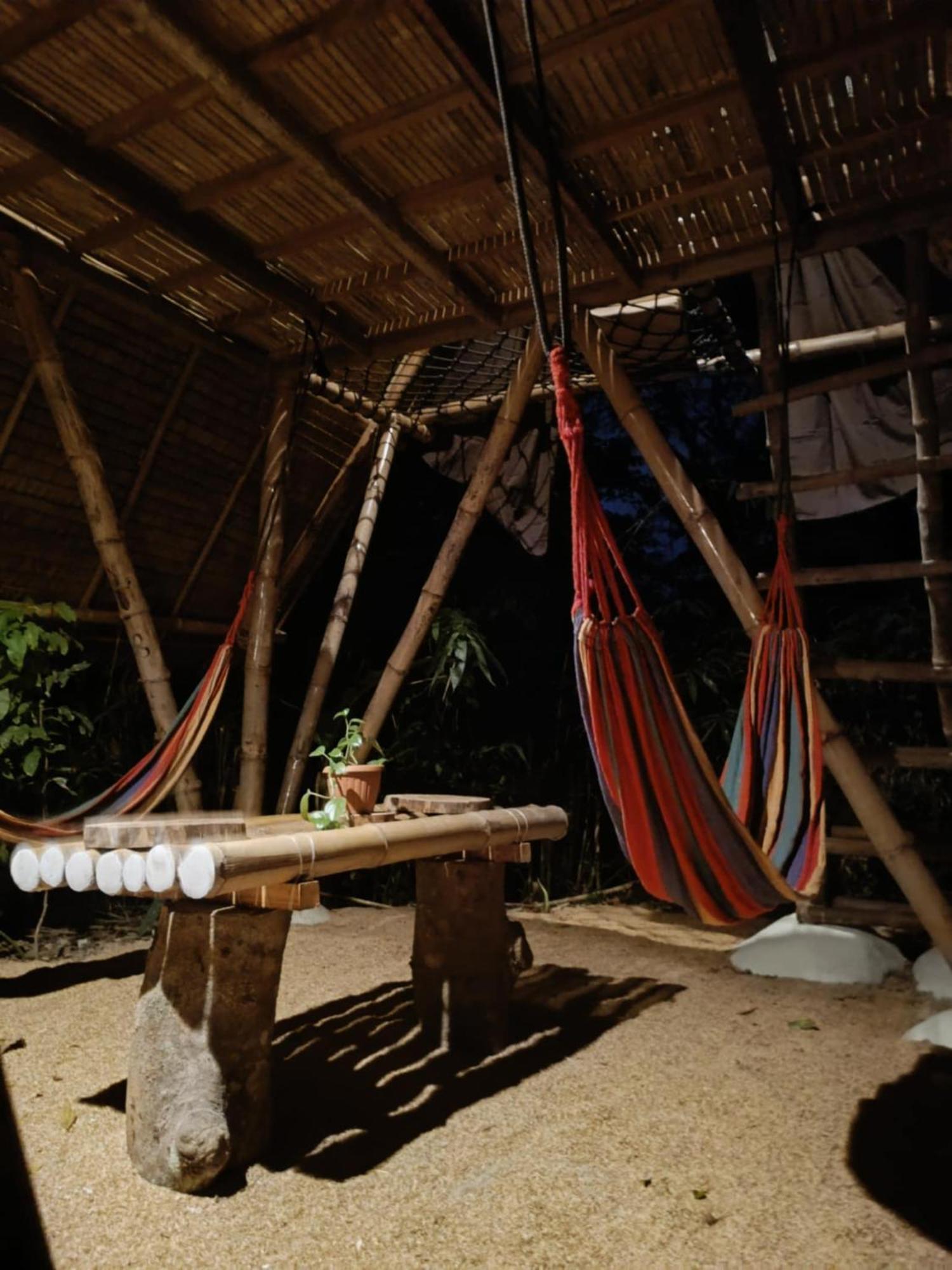 Ecocio Jungle Hostel Coron Exterior photo