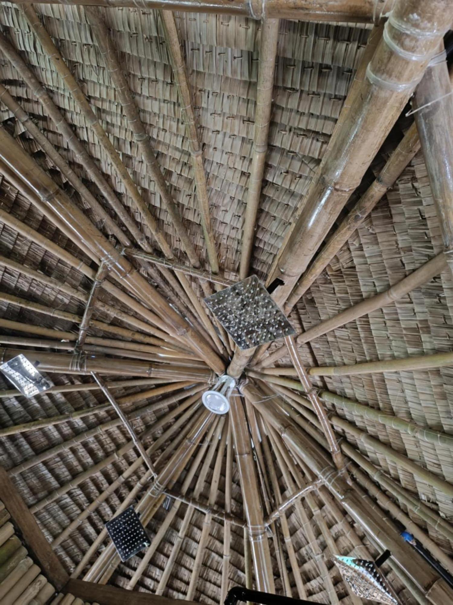 Ecocio Jungle Hostel Coron Exterior photo