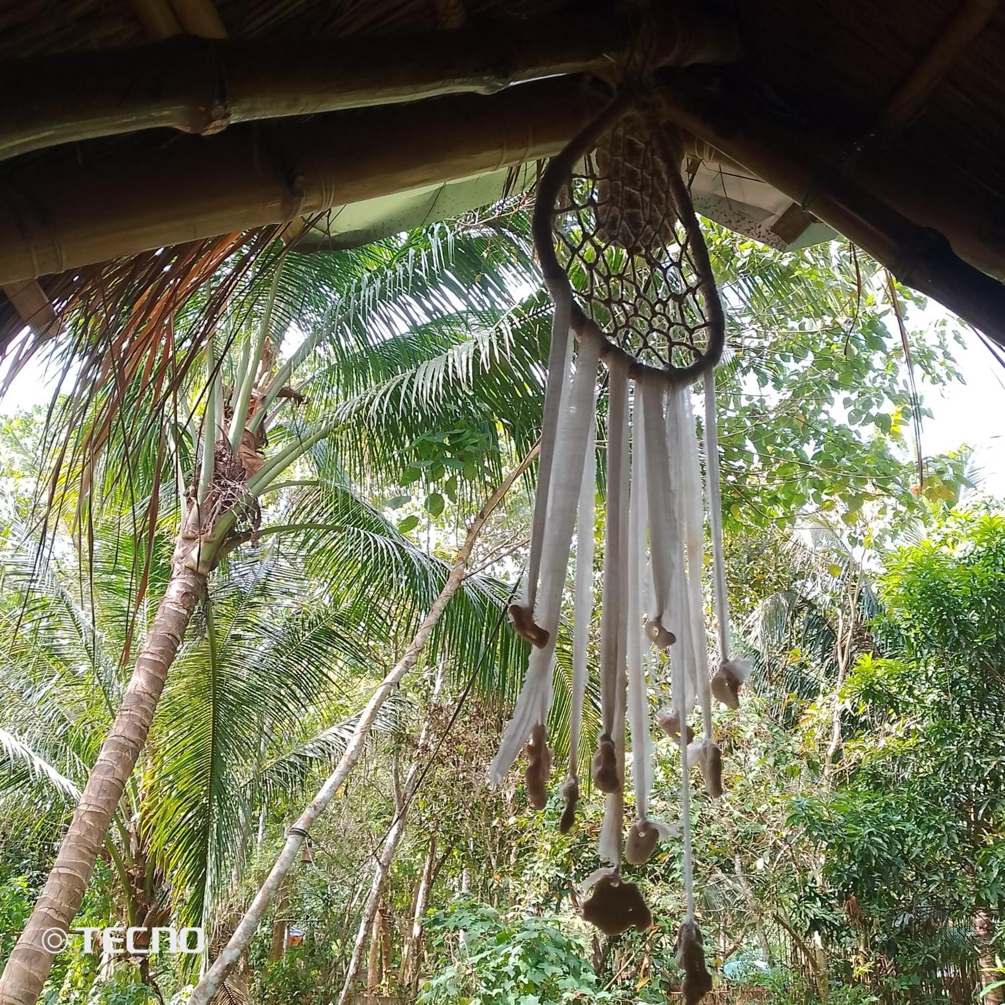Ecocio Jungle Hostel Coron Exterior photo