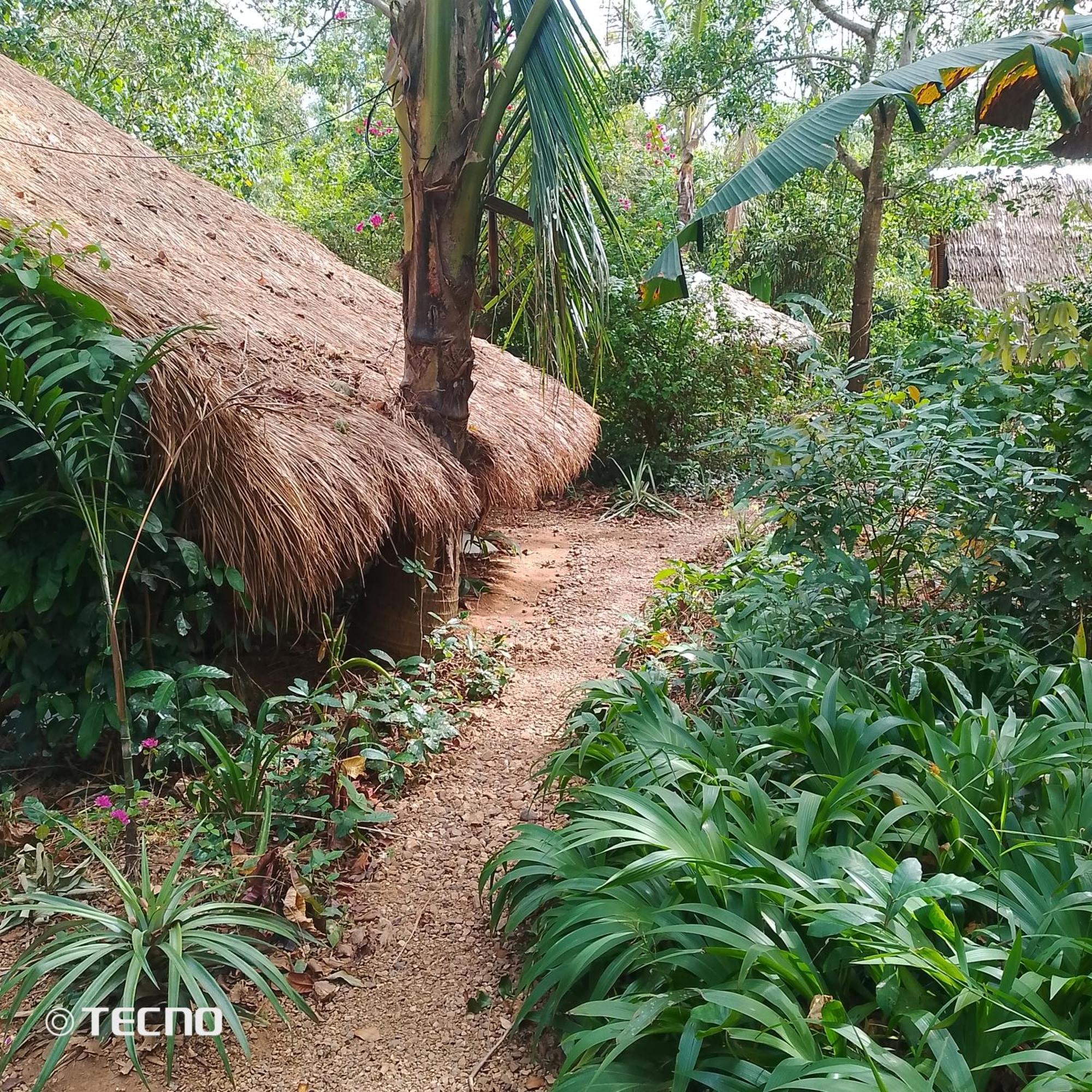 Ecocio Jungle Hostel Coron Exterior photo