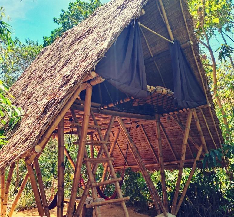 Ecocio Jungle Hostel Coron Room photo