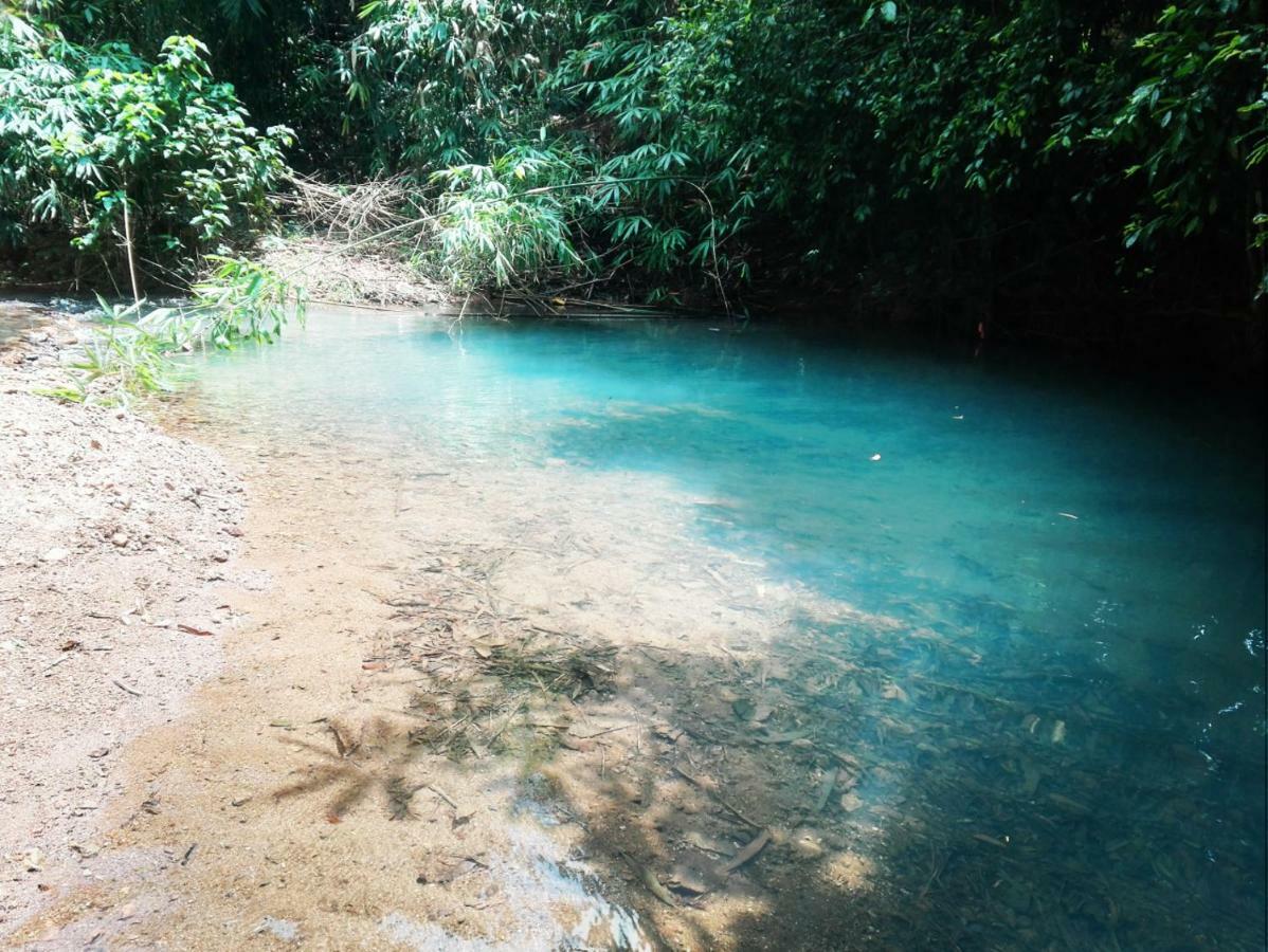 Ecocio Jungle Hostel Coron Exterior photo